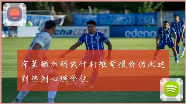 布莱顿加码武什科维奇报价仍未达到热刺心理价位