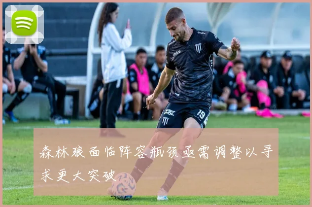 森林狼面临阵容瓶颈亟需调整以寻求更大突破